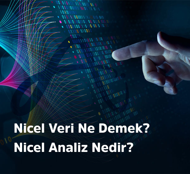 nicel veri ne demek